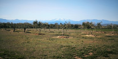 Motorhome parking space - Umgebungsschwerpunkt: Meer - Costa Brava - Vista panorámica - Relax and enjoy ample space and tranquility among organic olive trees
