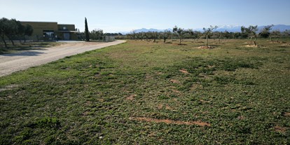 Motorhome parking space - Umgebungsschwerpunkt: Meer - Costa Brava - Vista panorámica - Relax and enjoy ample space and tranquility among organic olive trees