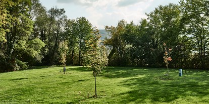 Reisemobilstellplatz - Umgebungsschwerpunkt: Therme(n) - Slowenien - Campingplatz Terme Čatež