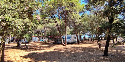 Motorhome parking space - Stromanschluss - Croatia - Campingplatz Porat***