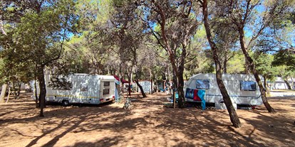 Motorhome parking space - WLAN: am ganzen Platz vorhanden - Zadar - Campingplatz Porat***