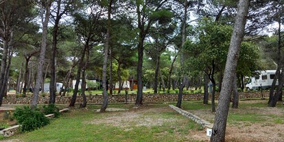 Motorhome parking space - Umgebungsschwerpunkt: Stadt - Zadar - Campingplatz Porat***