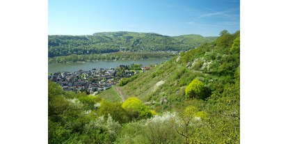 Reisemobilstellplatz - Wohnwagen erlaubt - Rheinland-Pfalz - Blick von oben ins Rheintal - Stellplatz im Wildgehege oberhalb des Rheintals