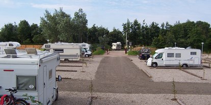 Motorhome parking space - WLAN: am ganzen Platz vorhanden - Nordseeküste - Reisemobilhafen St. Peter-Ording