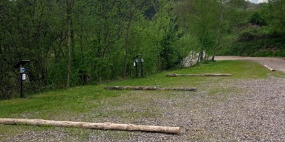 Reisemobilstellplatz - Art des Stellplatz: ausgewiesener Parkplatz - Wolfach - Camping auf dem Bauernhof im Schwarzwald