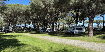 Motorhome parking space - WLAN: nur um die Rezeption vorhanden - Italy - Schattige Stellplätze - La Pampa Parking Area & Camp