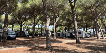 Motorhome parking space - WLAN: nur um die Rezeption vorhanden - Italy - Schattige Stellplätze - La Pampa Parking Area & Camp