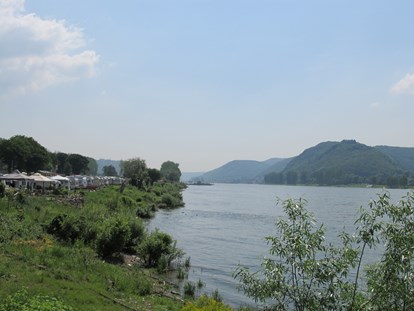 Reisemobilstellplatz - Umgebungsschwerpunkt: Therme(n) - Sinzig - Rheinpanorama - Wellness-Rheinpark-Camping Bad Hönningen