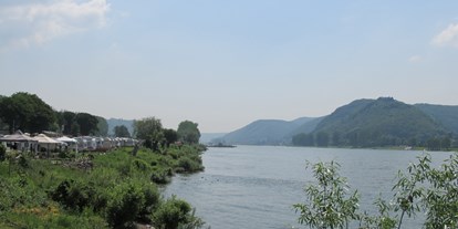 Reisemobilstellplatz - Umgebungsschwerpunkt: Fluss - Rheinpanorama - Wellness-Rheinpark-Camping Bad Hönningen
