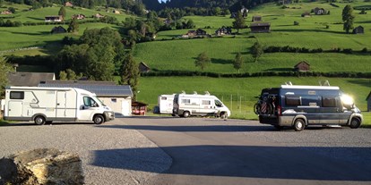 Reisemobilstellplatz - Hunde erlaubt: Hunde erlaubt - Schweiz - Beschreibungstext für das Bild - Toggenburg, Alt St. Johann, Ochsenwis
