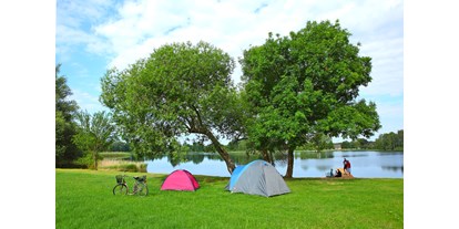 Reisemobilstellplatz - Art des Stellplatz: bei Gewässer - Lärz - Zeltwiese am Strand - Camping Am Kluger See