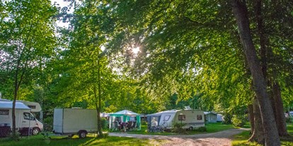 Reisemobilstellplatz - SUP Möglichkeit - Brokdorf - Stellplätze in der Sonne, im Schatten oder im Halbschatten. - Ferien- und Campingpark Geesthof