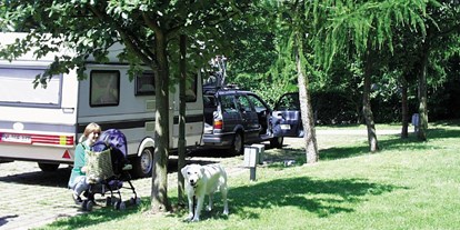 Reisemobilstellplatz - Umgebungsschwerpunkt: am Land - Tauberbischofsheim - Befestigte Stellplätze auf der Übernachtungwiese vor dem Campingplatz - Stellplatz Main-Spessart-Park