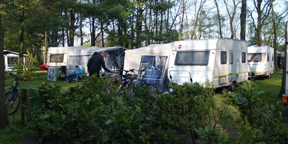 Reisemobilstellplatz - Wohnwagen erlaubt - Preußisch Oldendorf - Campingplatz - Campingplatz am Ehrlingshof