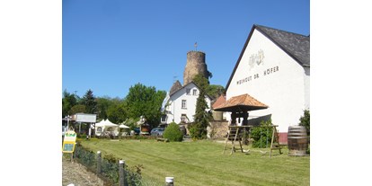 Reisemobilstellplatz - Spielplatz - Rheinland-Pfalz - Einfahrt zum Weingut Schlossmühle Dr. Höfer - Stellplatz mit Burgblick auf die Burg Layen