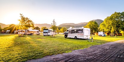 Motorhome parking space - camping.info Buchung - Rhineland-Palatinate - Mosel Islands