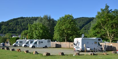 Reisemobilstellplatz - Art des Stellplatz: vor Campingplatz - Mosel - Mosel Islands