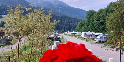 Reisemobilstellplatz - Grauwasserentsorgung - Aschau im Chiemgau - Blick von der Rezeption auf die Stellplätze. - KAISER.CAMP