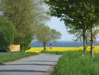 Reisemobilstellplatz - Radweg - Grube - Neben dem Wohnmobilplatz - Rosenfelder Strand Ostsee Camping