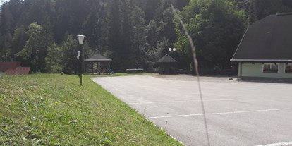 Motorhome parking space - Hunde erlaubt: Hunde erlaubt - Pomurje / Pohorje Mountains & Surroundings / Savinjska -  Atelšek Marko