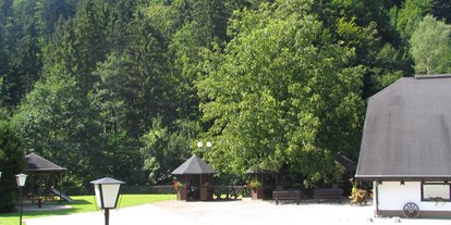 Motorhome parking space - Spielplatz - Pomurje / Pohorje Mountains & Surroundings / Savinjska -  Atelšek Marko