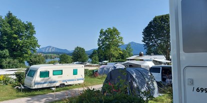 Reisemobilstellplatz - Hunde erlaubt: Hunde erlaubt - Bad Bayersoien - Stellplatz Campingplatz Brugger am Riegsee