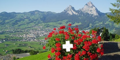 Reisemobilstellplatz - Umgebungsschwerpunkt: Berg - Schweiz - Aussicht vom Camping - Ferienhof Rüti