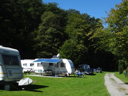Reisemobilstellplatz - Wohnwagen erlaubt - Stellplätze - Odenwald-Camping-Park