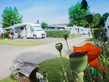 Motorhome parking space - Austria - Weinland-Camping