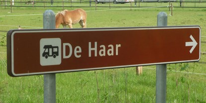 Motorhome parking space - Gelderland - De Haar