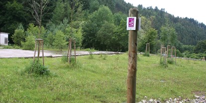 Reisemobilstellplatz - Art des Stellplatz: ausgewiesener Parkplatz - Mosel - Stellplatz am Besucherbergwerk Fell