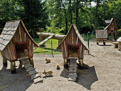Reisemobilstellplatz - Spielplatz - Streichel-Zoo am Wohnmobilhafen - WohnmobilHafen Lüneburger Heide