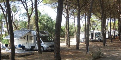 Reisemobilstellplatz - WLAN: am ganzen Platz vorhanden - Italien - Stellpätze mit Blick aufs Meer - Camping Lungomare