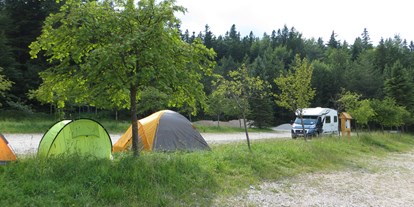 Reisemobilstellplatz - Duschen - Gutenstein - Wohnmobil oder Zelt sind möglich - Stellplätze im Naturpark Hohe Wand