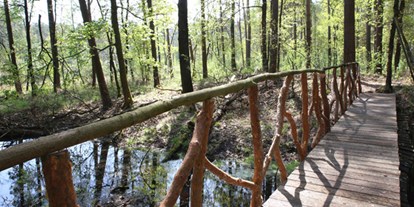 Reisemobilstellplatz - Spielplatz - Sachsen-Anhalt Süd - Brücke über Bach auf unserem Grundstück - Waldcamping Olympiasee
