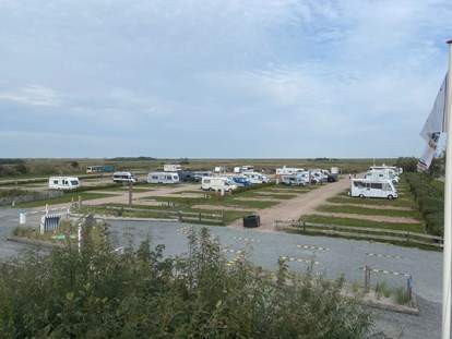 Motorhome parking space - WLAN: am ganzen Platz vorhanden - Nordseeküste - Camping SPO