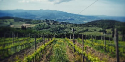 Motorhome parking space - WLAN: nur um die Rezeption vorhanden - Italy - vineyards - Agriturismo Il Cocco