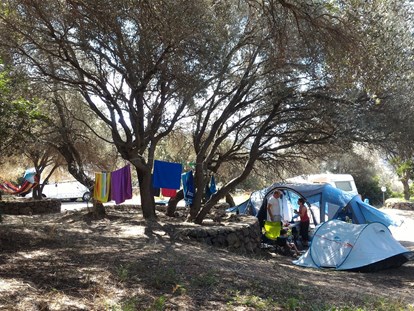 Reisemobilstellplatz - Hunde erlaubt: Hunde teilweise - Sardinien - Camping place - Agricamping S'Ozzastru