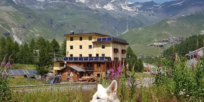 Motorhome parking space - Aosta Valley - Unsere Ayleen  genießt  den wunderschönen  Stellplatz   - Area di Sosta Camper Breul Cervinia