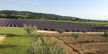 Reisemobilstellplatz - Umgebungsschwerpunkt: am Land - Provence-Alpes-Côte d'Azur - Lavendel, Weinberge und Olivenbaume - Domaine des Lauribert