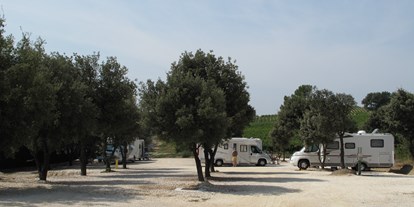 Motorhome parking space - Umgebungsschwerpunkt: am Land - Provence-Alpes-Côte d'Azur - Domaine des Lauribert