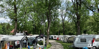 Motorhome parking space - Duschen - Bad Waldsee - Standardplätze - Park Camping Iller