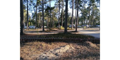 Motorhome parking space - Gävleborg - Campingplatz im lichten Kiefernwald mit großzügigen Stellplätzen - Norra Dellen Familjecamping