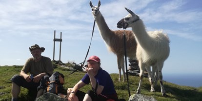 Reisemobilstellplatz - Bademöglichkeit für Hunde - Norwegen - Geführte Lama Tour - Vestkapp Camping