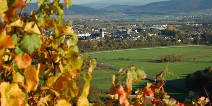 Reisemobilstellplatz - Gevenich - Buntes Herbstlaub in den Weinbergen  - Wohnmobilstellplatz Zweibächen am Lieserpfad