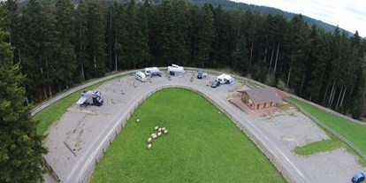 Reisemobilstellplatz - Art des Stellplatz: im Campingplatz - Wolfach - Luftbild Stellplätze - Almruhe "Die erste Alm im Nordschwarzwald"