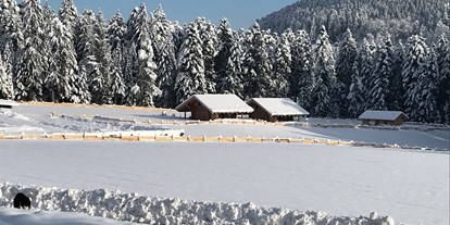 Reisemobilstellplatz - Art des Stellplatz: im Campingplatz - Wolfach - Winter auf der Alm - Almruhe "Die erste Alm im Nordschwarzwald"