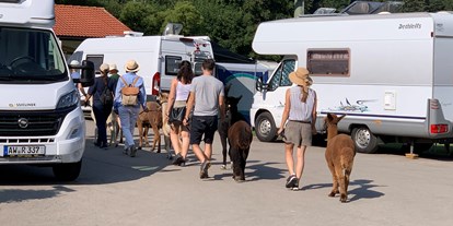 Reisemobilstellplatz - Hunde erlaubt: Hunde erlaubt - Lermoos - Camping Pfronten