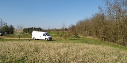 Motorhome parking space - Moschendorf - Oase Halogy