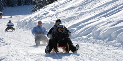 Motorhome parking space - Hunde erlaubt: Hunde teilweise - Switzerland - Wiriehorn: DER Familien-Winterhit, sei es auf den Skiern, Snowboard, Schlitteln, Schneeschuhtrail... - Wiriehornbahnen AG - Diemtigtal
